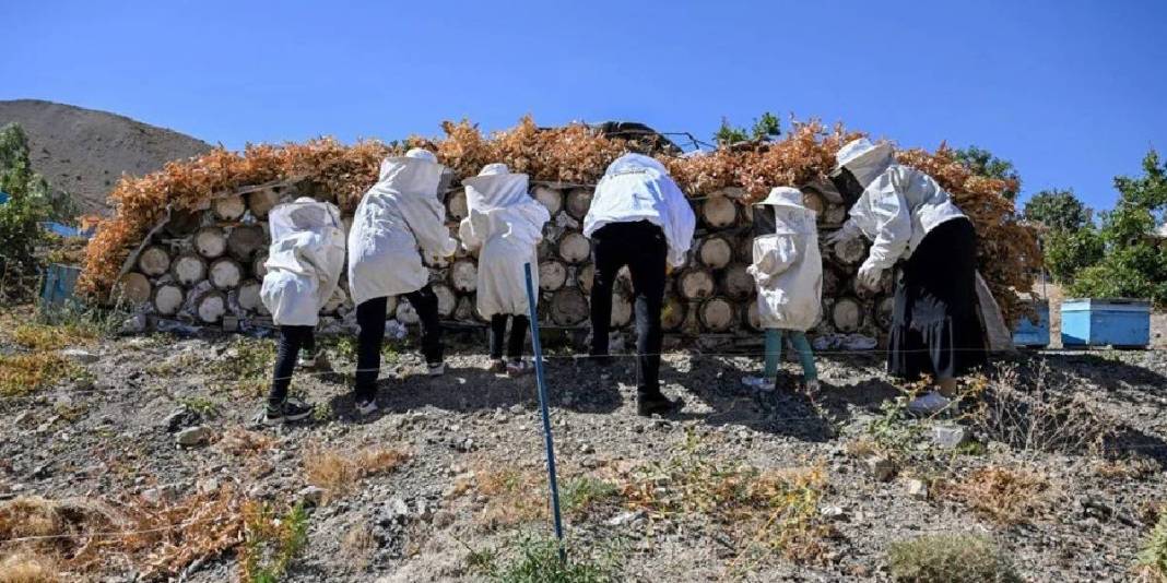 Şehirdeki kariyerini bıraktı, doğayla kazanmaya başladı: Ailesi en büyük yardımcısı: 3 yılda kazancını katladı! 1
